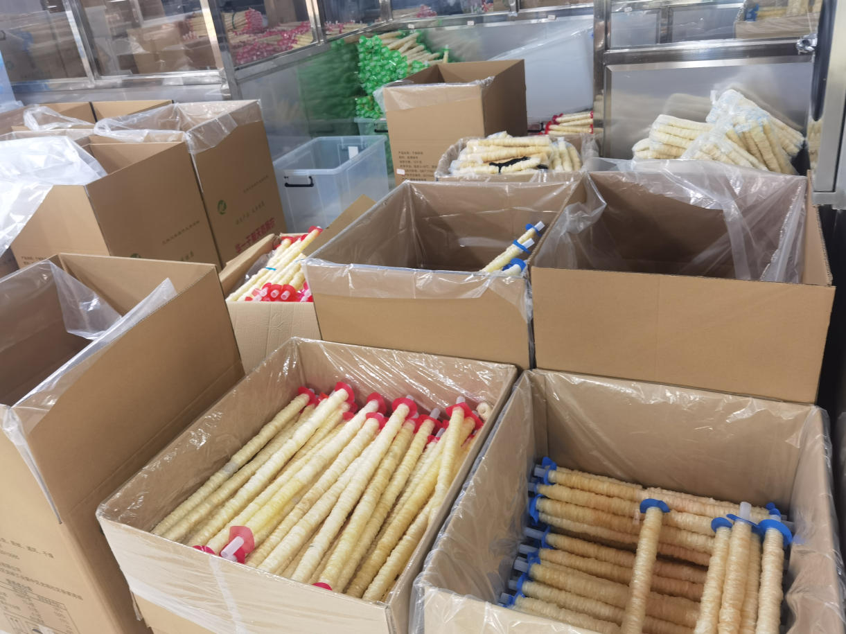 Gaines de Porc Naturelles Séchées avec Artisanat Traditionnel